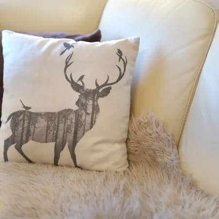 Schwarzwaelder شقة *