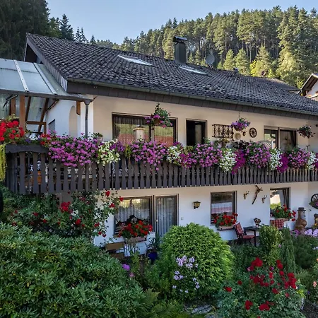 شقة Schwarzwaelder *