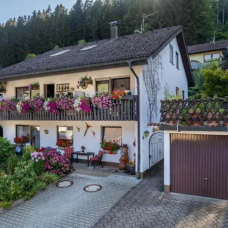 Schwarzwaelder شقة *